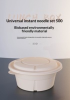 Premium Dubbellaagse Biologisch Afbreekbare Wegwerp Ramen Emmerdeksel 1000ml 800ml 650ml 500ml Multi-Tier Soep Combo Anti-Vocht Thermisch