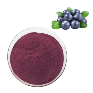Polvo de Arándanos Orgánicos Liofilizado al por Mayor, Concentrado 100% de Jugo de Arándanos en Polvo - Product Image 2