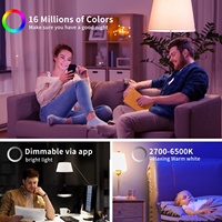 Lampe LED intelligente à intensité variable avec Wi-Fi, base en plastique E26/E27/B22, alimentation CA, revêtement mural en tissu noir, télécommande
