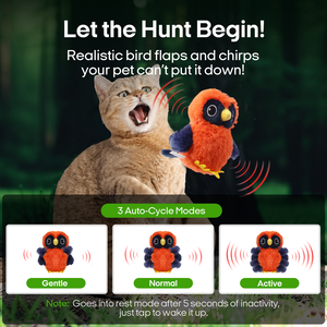 Regalo divertente tipo C che sbattono l'uccello gatto giocattolo che sbatte le ali giocattolo interattivo ricaricabile sul tappeto con cinguettio dell'uccello - Product Image 2