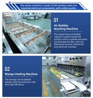 Industriële automatische IQF-vriesmachine voor mango, groenten en fruitverwerkingslijn, snelvriezen, 304 roestvrij staal