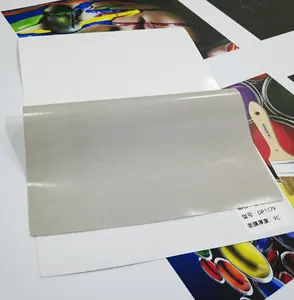 Цифровые печатные материалы белая задняя синяя задняя рекламная печать Эко-растворимый плакат бумага ПВХ гибкий баннер рулон