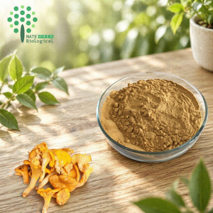 Extracto Estandarizado de <span class=keywords><strong>Cantharellus</strong></span> <span class=keywords><strong>Cibarius</strong></span>, Polvo de Polisacáridos de Champiñones Chanterelle, 30% Polisacáridos, 80 Mesh, Tambor de 20 kg - Product Image 5