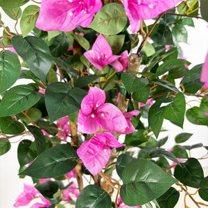 ต้นบอนไซประดิษฐ์สำหรับตกแต่งต้น180ซม. ต้นบอนไซประดิษฐ์ทำจากผ้าไหม - Product Image 3