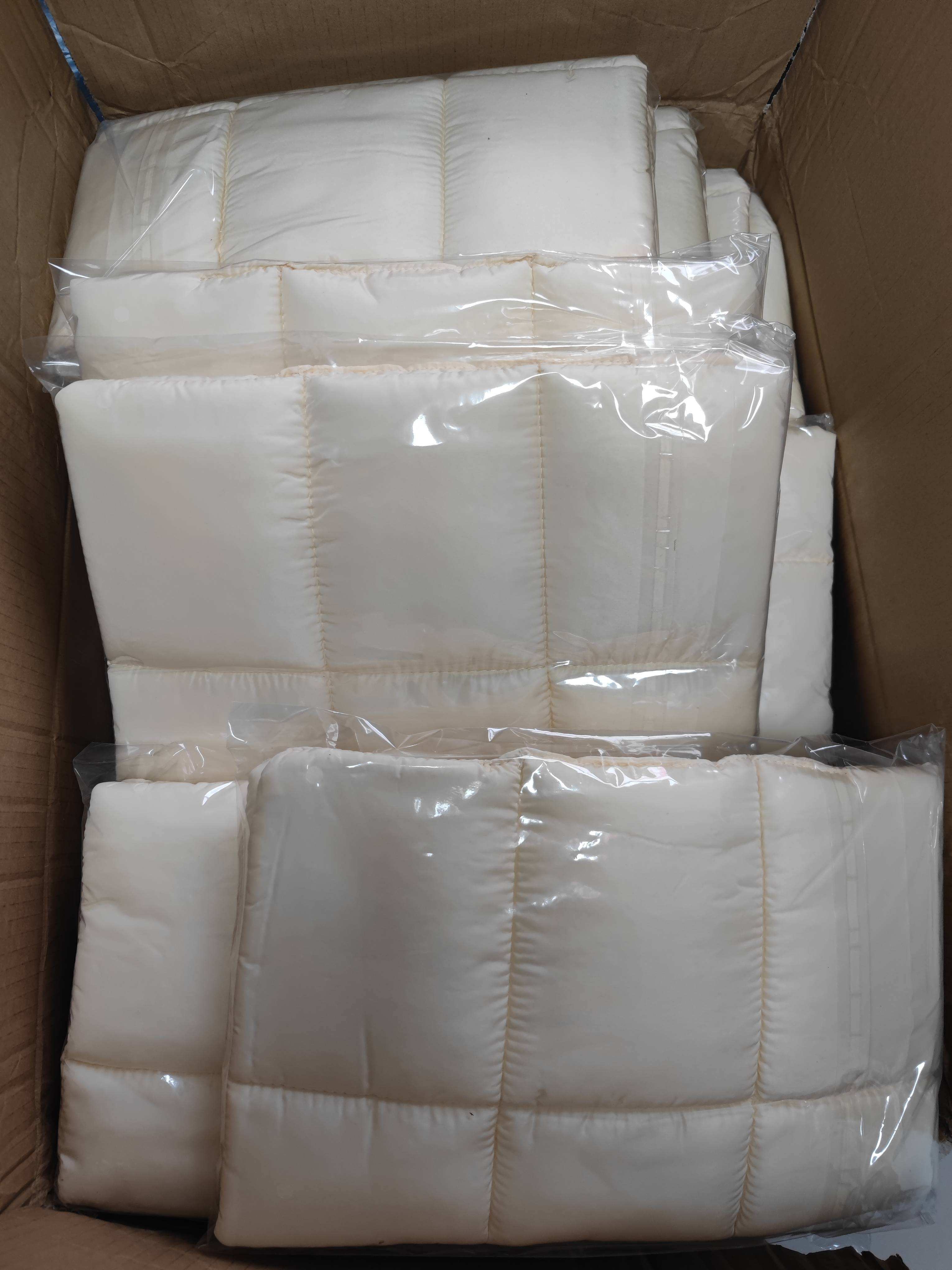 แผ่นสีเบจ