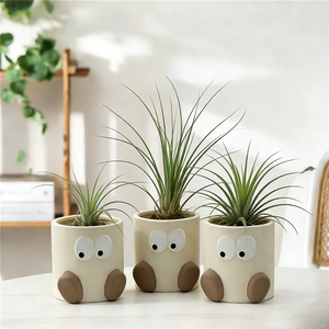 Macetas para Suculentas, Macetas Decorativas para Interiores, Soporte de Exhibición para Macetas, Decoración para el Hogar - Product Image 1