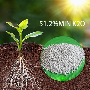 Prodotti chimici di ritorno facile sale inorganico prezzo più competitivo solfato di potassio K2O4S 7778-80-5 sostanze chimiche per fertilizzanti di potassio solubili in acqua - Product Image 5