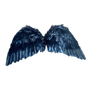 Decorazioni festa Cosplay carnevale ali <span class=keywords><strong>d</strong></span>'<span class=keywords><strong>angelo</strong></span> Halloween di alta qualità <span class=keywords><strong>piuma</strong></span> nera di medie dimensioni Opp Bag decorazioni per le feste - Product Image 2