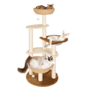 Donough Árbol para Gatos de 54'' de Alto, color gris, sin embargo, ofrece un toque de color y diseño sin alterar el estilo general de su decoración. - Product Image 1