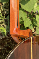 Aiersi All Solid Rosewood Classical Guitar with Maple Inlaid , High Grade Luthier-made Nylon String Guitar