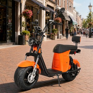 Scooter Eléctrico de Dos Ruedas con Motor de 1000w, Ruedas de 10 Pulgadas, Luces LED Impermeables, Batería de Litio de 60v 20ah/40ah, Aluminio, 200kg X26 - Product Image 1