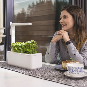 Système de culture hydroponique d'intérieur Hydrcrogreens Bean Screen Microgreens <span class=keywords><strong>Kit</strong></span> Herb Smart Home Garden Grow <span class=keywords><strong>Kit</strong></span> - Product Image 6