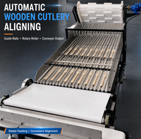 Machine d'alignement automatique à grande vitesse pour bâtonnets de crème glacée jetables en bois et en acier inoxydable, de qualité alimentaire et multi-voies