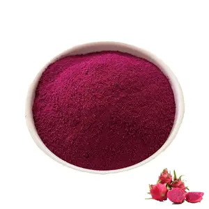 Gefrier getrocknetes Instant-Obst-und Gemüse pulver Drachen frucht extrakt Bio-Rosa-Extrakt pulver Rotes Pitaya-Frucht pulver