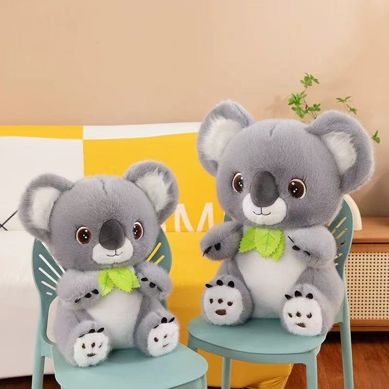 koala