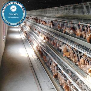 กรงไก่แบบตาข่ายสำหรับให้ผู้ดื่มในฟาร์มสัตว์ปีกผลิตจากโรงงานกวางโจวสำหรับใช้ในฟาร์มสัตว์ปีก - Product Image 3