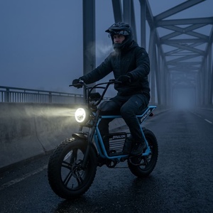 <span class=keywords><strong>Vélo</strong></span> de <span class=keywords><strong>route</strong></span> <span class=keywords><strong>électrique</strong></span> longue distance avec batterie au lithium 16Ah, <span class=keywords><strong>vélo</strong></span> <span class=keywords><strong>électrique</strong></span> Bridge pour les trajets interurbains - Product Image 5