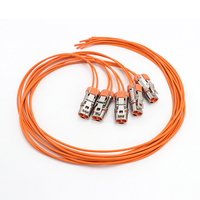 Harness Kabel HV EV 2-Core 1000V DC yang Dapat Disesuaikan dengan Perakitan Kabel HVIL Berperingkat IP67 untuk Kendaraan Energi Baru