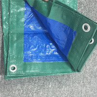Bâches en polyéthylène tissé enduit imperméables avec protection UV pour l'agriculture extérieure, le revêtement des jardins, les serres et les tentes