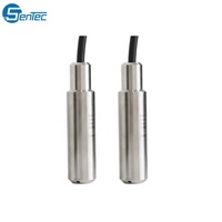 Capteur de niveau d'eau submersible SENTEC en acier inoxydable 4-20mA RS485 pour réservoir hydrostatique et puits profond