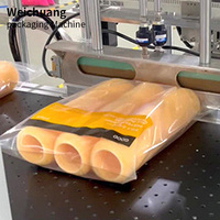 Máquina Automática para Embolsar y Empacar, Equipo de Empaquetado Automático de Bolsas Autoadhesivas