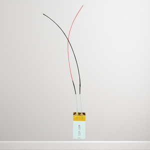 Autre élément chauffant en céramique 4826 220-240V AC pour incubateur à bain sec, dispositif thermostatique de laboratoire - Product Image 1