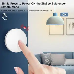 Alexa pil işletilen Pastable 1 düğme akıllı kablosuz anahtarı Zigbee sahne anahtarı Alexa Google ev ile uyumlu