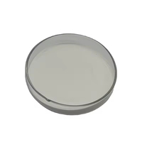 Microsphères extensibles pour revêtements et peintures-Isolation thermique et additif anti-fissuration