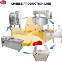 Máquina para Hacer Queso Mozzarella Pequeña, Tanque de Queso de 500 Litros, Línea de Producción de Queso para Queso de Cabra