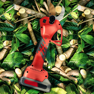 <span class=keywords><strong>Prix</strong></span> d'usine, sécateur électrique télescopique de 50 mm, cueilleur de fruits, ciseaux électriques en bois, sécateurs électriques, ciseaux de jardin, sécateur - Product Image 4