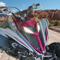 Feux de signalisation LED Yongjin pour la calandre avant de Yamaha Raptor 700 2013-2024