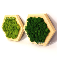 Décoration Murale Hexagonale en Mousse Naturelle Préservée, Personnalisée, Longue Durée (3-5 Ans), Sans Entretien, Faite à la Main, Fête des Mères