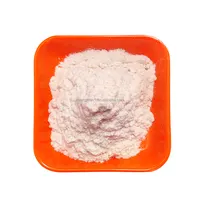 Miglior prezzo nitruro di silicio esagonale CAS 12033-89-5 polvere di nanoubo di nitruro di boro