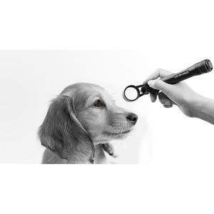Lámpara <span class=keywords><strong>de</strong></span> hendidura portátil, una solución compacta para imágenes y diagnósticos oftálmicos - Product Image 5