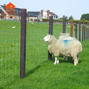 Cerca de campo veldspan cerca de arame galvanizado para fazenda de ovelhas e gado, jogo à prova de cabras