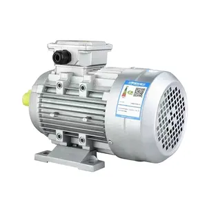 YS/Y2 Series 10HP 15HP 20HP 25HP 2880rpm High Efficiency Aluminum Housed Three Phase Asynchronous AC Motor