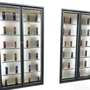 Porte vitrée réfrigérée pour supermarchés et épiceries, idéale pour l'affichage de glaces et de pizzas, avec un design ouvert pour un accès facile - Product Image 5