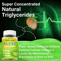 Gummies végétaliennes d'oméga-3 à base d'algues 2000MG DHA EPA, complément alimentaire végétalien à base de plantes, favorise la santé cardiaque, cérébrale et oculaire, 60 gummies à croquer, OEM