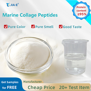Collagene Idrolizzato di Alta Qualità da Pelle e Squame di Pesce in Polvere Idrosolubile per Alimenti Salutari - Product Image 2