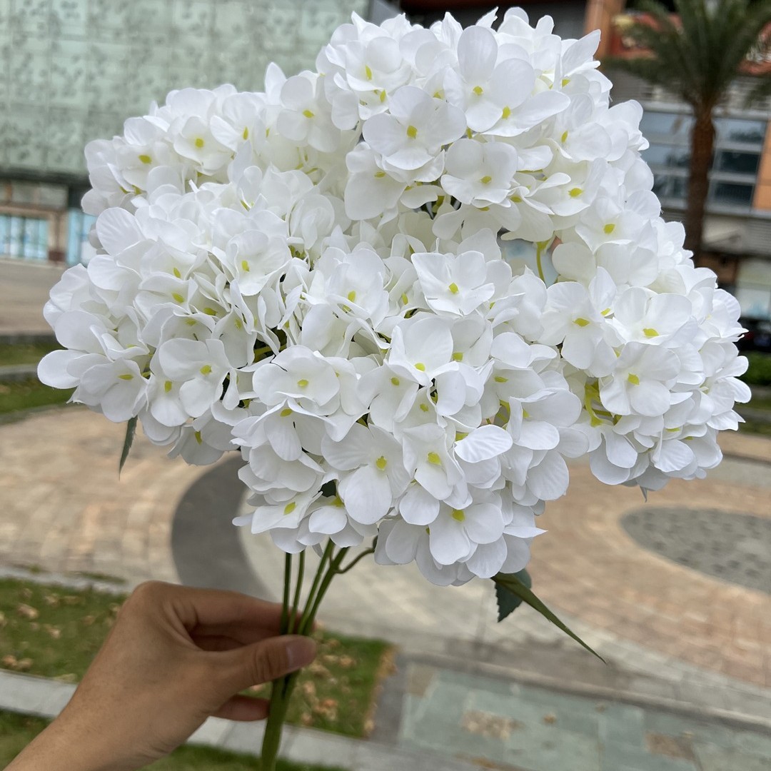 Blanc