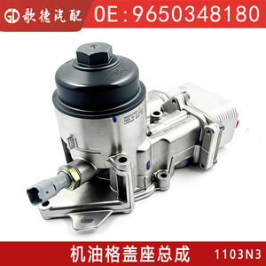 Conjunto de Filtro de Aceite Sonwa 9650348180 1103N3 para Motor Peugeot C5 Citroen C4 2.0 - Product Image 3