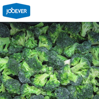 Broccoli Congelati IQF in Fioretti, Vendita all'Ingrosso, Qualità Premium, Prezzo di Fabbrica, Etichetta Privata, OEM, Standard Export, Fornitore B2B