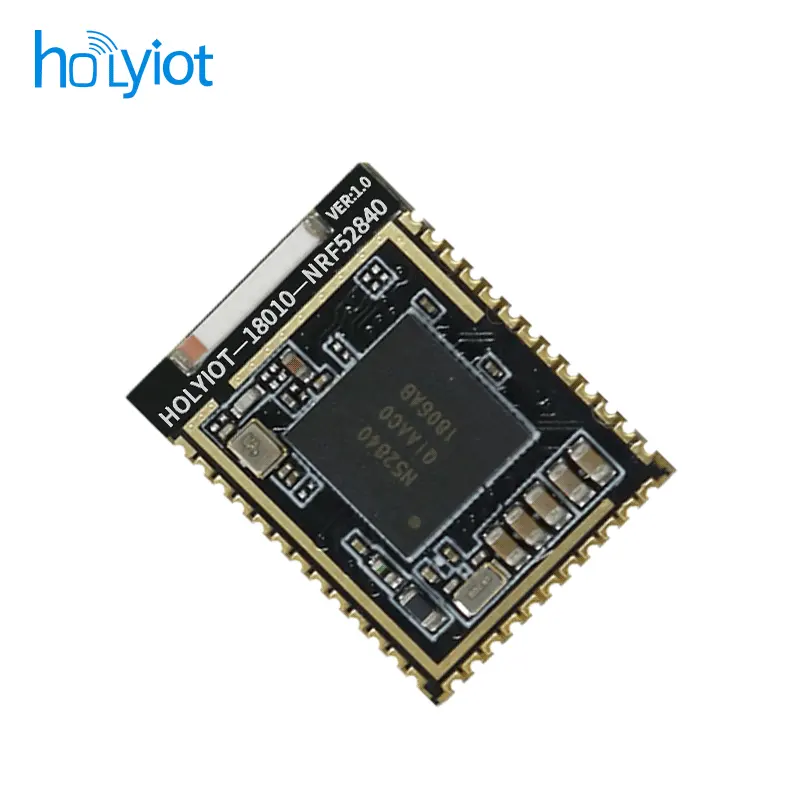 Holyiot18010 BLE מודול עם Zigbee וחוט nRF52840