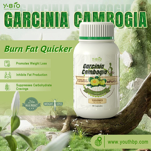 Suplemen Makanan Kapsul Garcinia Cambogia Pendukung Penurunan Berat Badan untuk Manajemen Tubuh Sehari-hari Tersedia dalam Berbagai Kelompok Suplemen Herbal - Product Image 2