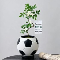 Pot de fleurs intelligent en forme de ballon de football créatif, auto-arrosant, pour la décoration de bureau et de maison
