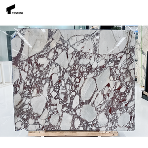 ألواح رخام كالاكاتا فيولا طبيعية مصقولة متقدمة قابلة للتخصيص من توستون للفلل الحديثة وطاولات الطعام وحمامات الزينة - Product Image 6