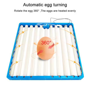 Torneado automático de <span class=keywords><strong>huevos</strong></span> 70-108 rodillo de incubación de <span class=keywords><strong>huevos</strong></span> bandeja herramientas máquina de incubación de aves de corral pollo pato ganso codorniz <span class=keywords><strong>huevos</strong></span> incubadora - Product Image 4