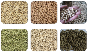 <span class=keywords><strong>Ysx</strong></span> 1 t/h เครื่องอัดเม็ดผสมของเสียจากสัตว์พร้อมกระบอกสูบ - Product Image 6