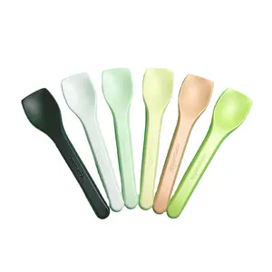 CPLA Disposable Hotel Restaurant Eco Friendly Biodegradable Small Ice-cream Spoon