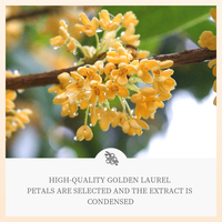 OEM SADOER Private Label Organic Herbal Golden Osmanthus Fragrans Nourrissant Eye Skin Care Blanchissant Hydratant Patch Masque pour les yeux